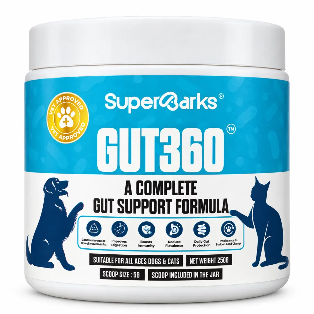 Superbarks Gut360 jar